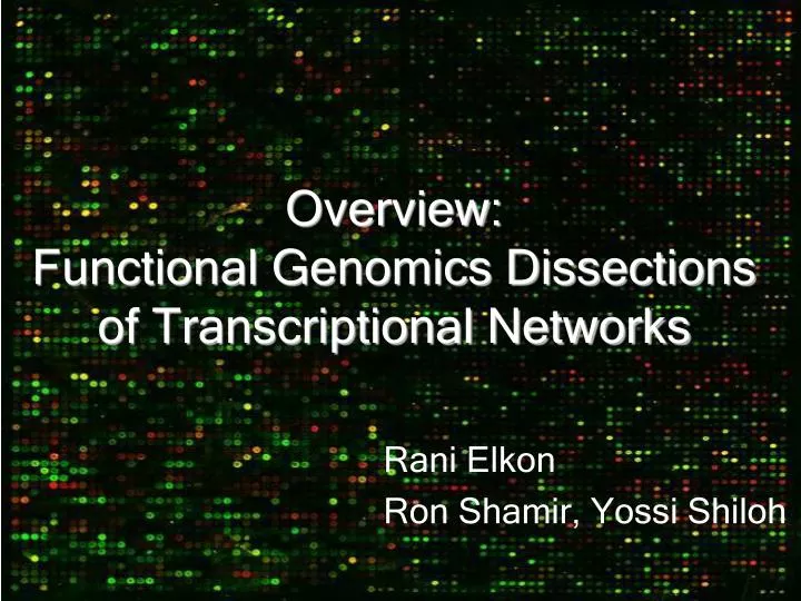 overview functional genomics dissections of transcriptional networks