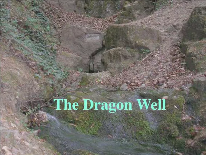 the dragon well