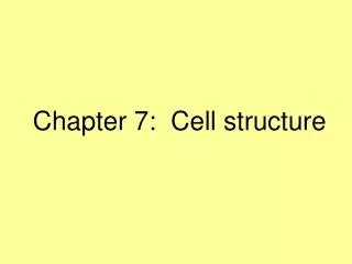 Chapter 7: Cell structure