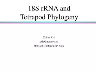 18S rRNA and Tetrapod Phylogeny