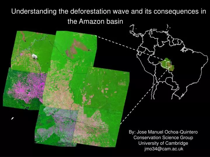 understanding the deforestation wave and its consequences in the amazon basin forest