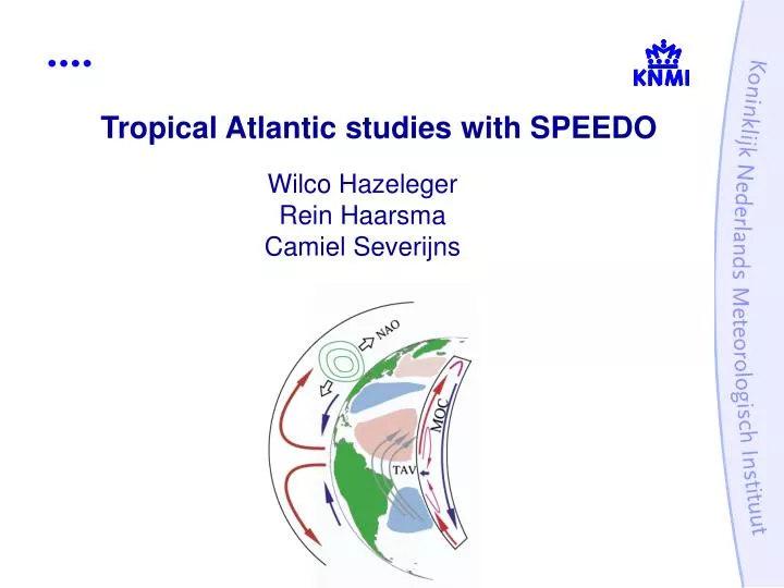 tropical atlantic studies with speedo