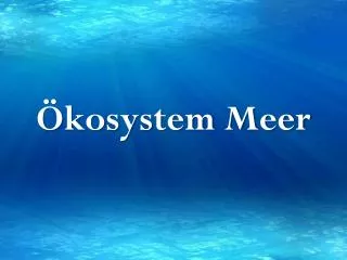 kosystem meer