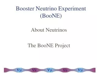 Booster Neutrino Experiment (BooNE)