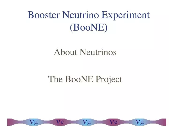 booster neutrino experiment boone