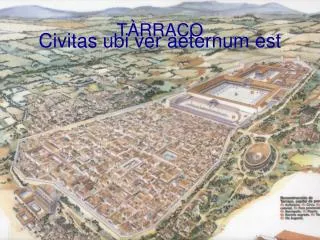 t rraco