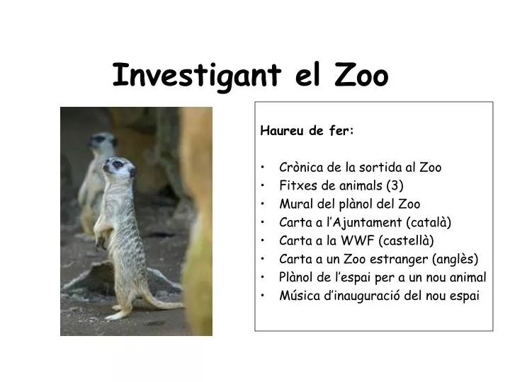 investigant el zoo