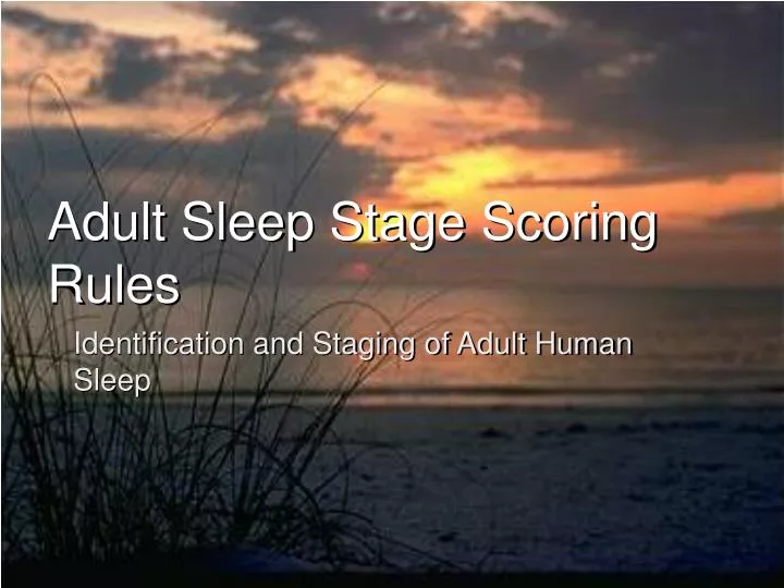 adult sleep stage scoring rules