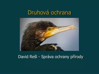 druhov ochrana