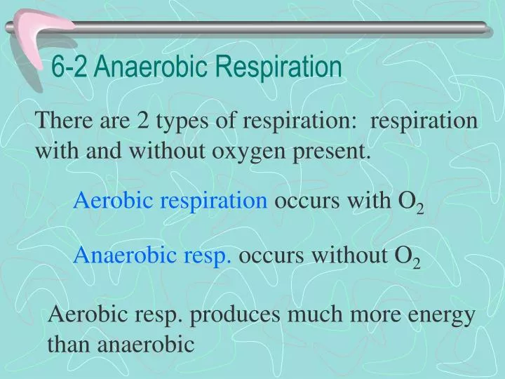 6 2 anaerobic respiration