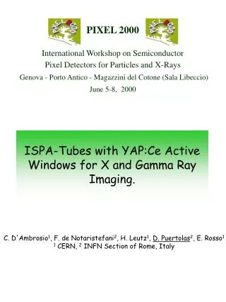 ISPA-Tubes with YAP:Ce Active Windows for X and Gamma Ray Imaging.
