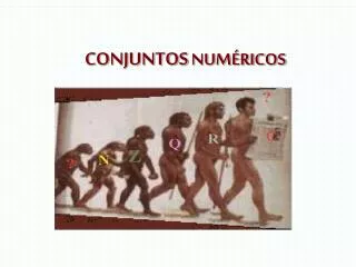 conjuntos num ricos
