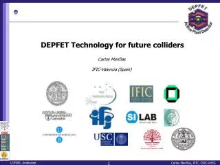 DEPFET Technology for future colliders
