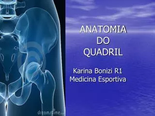 anatomia do quadril