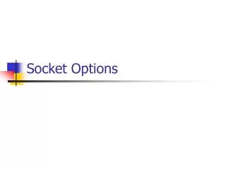 Socket Options