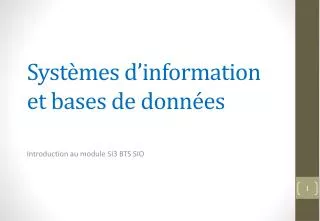syst mes d information et bases de donn es