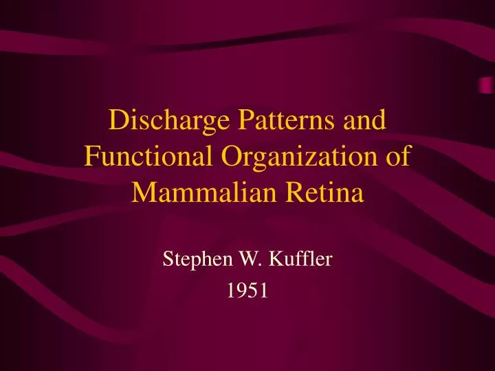 discharge patterns and functional organization of mammalian retina