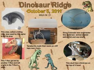 Dinosaur Ridge