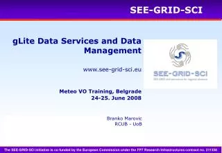 gLite Data Services and Data Management