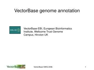 VectorBase genome annotation