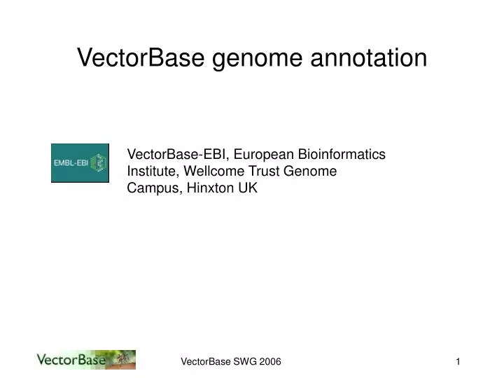 vectorbase genome annotation