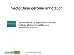 VectorBase genome annotation - slide 1