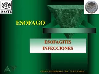 esofago