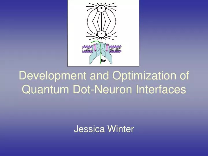 development and optimization of quantum dot neuron interfaces