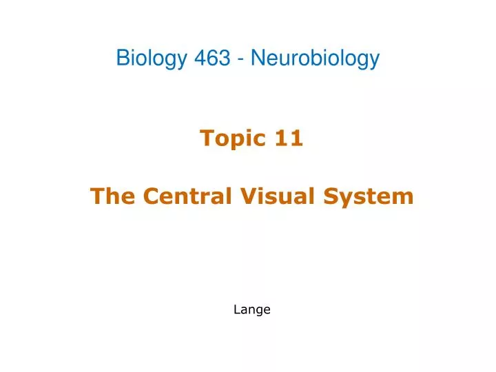 topic 11 the central visual system lange