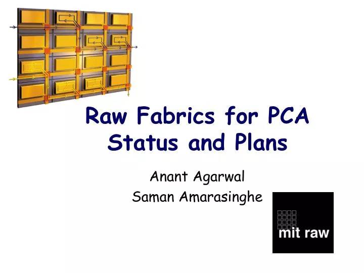 raw fabrics for pca status and plans