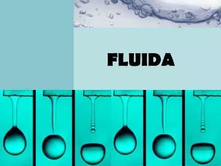 fluida