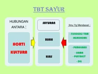 tbt sayur