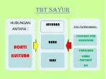 TBT SAYUR - slide 1