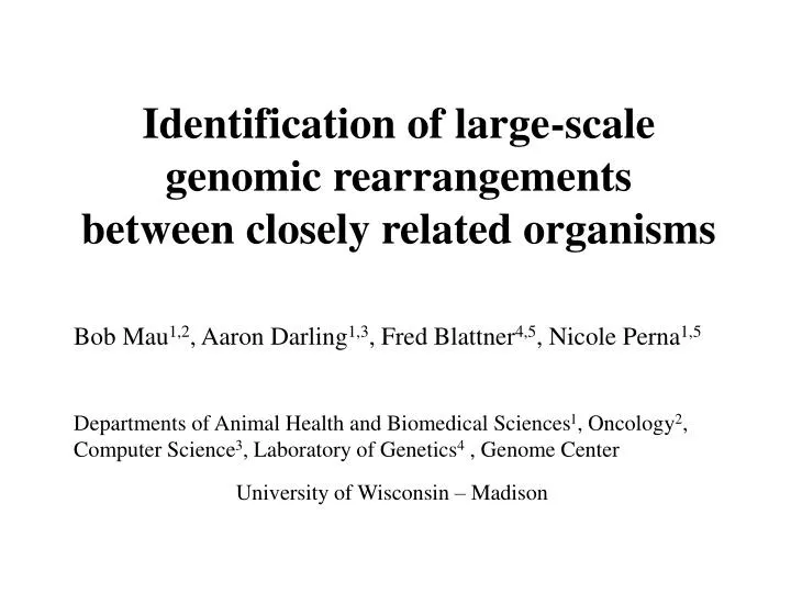identification of large scale genomic rearrangements between closely related organisms