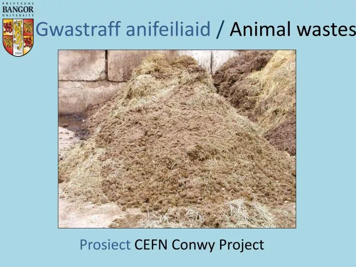 gwastraff anifeiliaid animal wastes