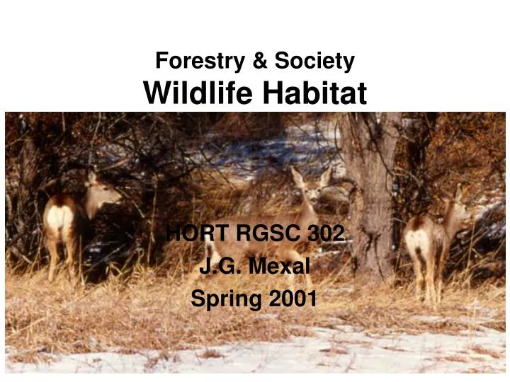 forestry society wildlife habitat