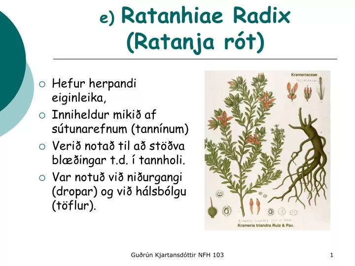 e ratanhiae radix ratanja r t