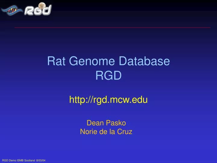 rat genome database rgd