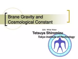 Brane Gravity and Cosmological Constant