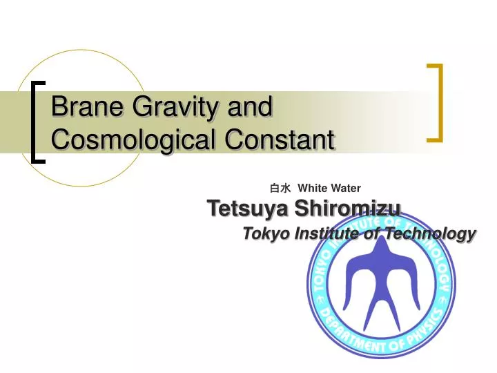 brane gravity and cosmological constant