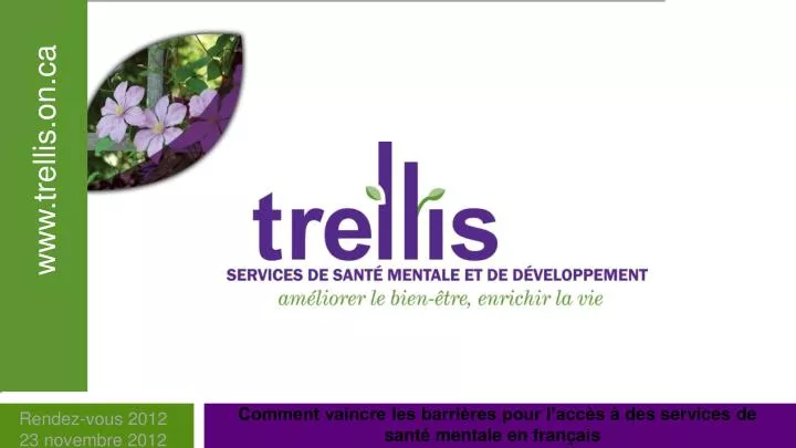 trellis mental health and developmental service