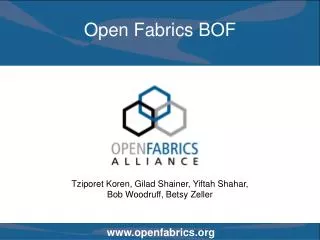 Open Fabrics BOF