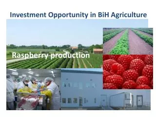 Investment Opportunity in BiH Agriculture