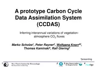 A prototype Carbon Cycle Data Assimilation System (CCDAS)