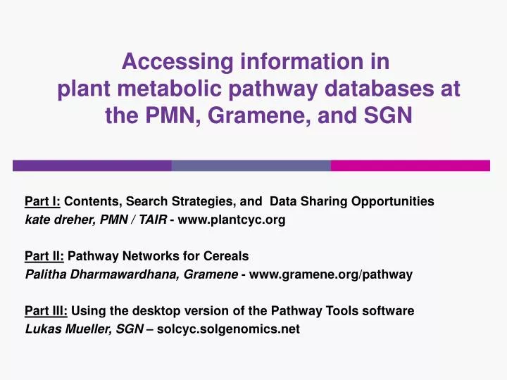 accessing information in plant metabolic pathway databases at the pmn gramene and sgn