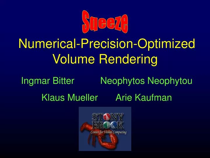 numerical precision optimized volume rendering