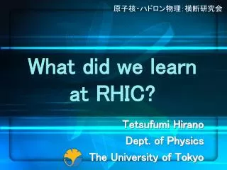 What did we learn at RHIC?