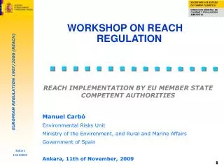 REACH IMPLEMENTATION BY EU MEMBER STATE COMPETENT AUTHORITIES