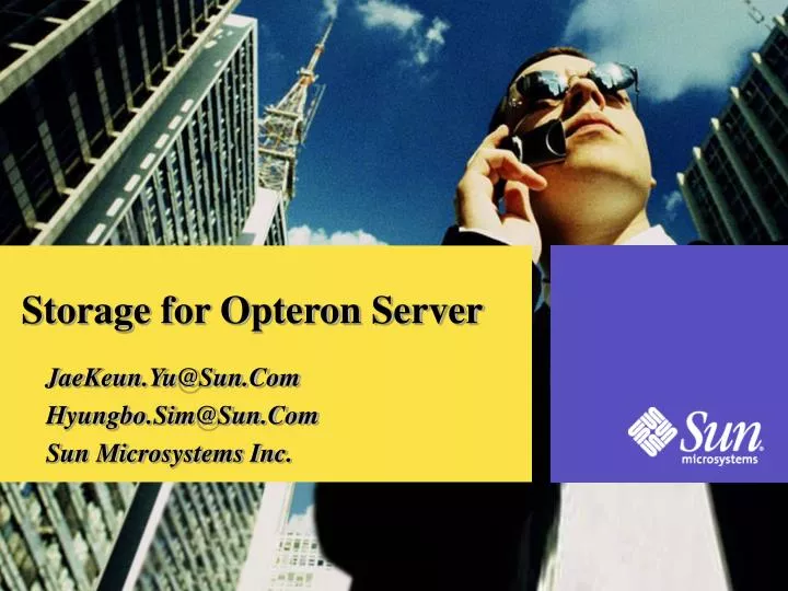 storage for opteron server