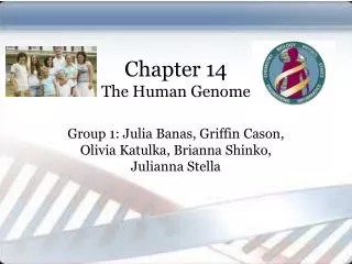Chapter 14 The Human Genome